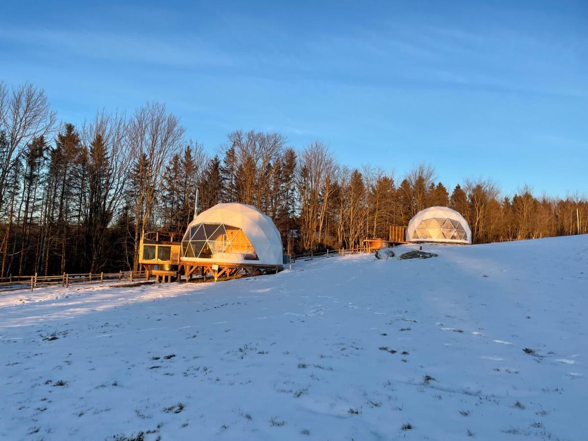 Mi-Clos - Luxury Pods With Private Jacuzzis Orford エクステリア 写真